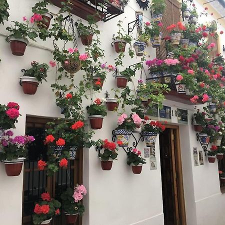 Apartamento El Templo Kordoba Bagian luar foto